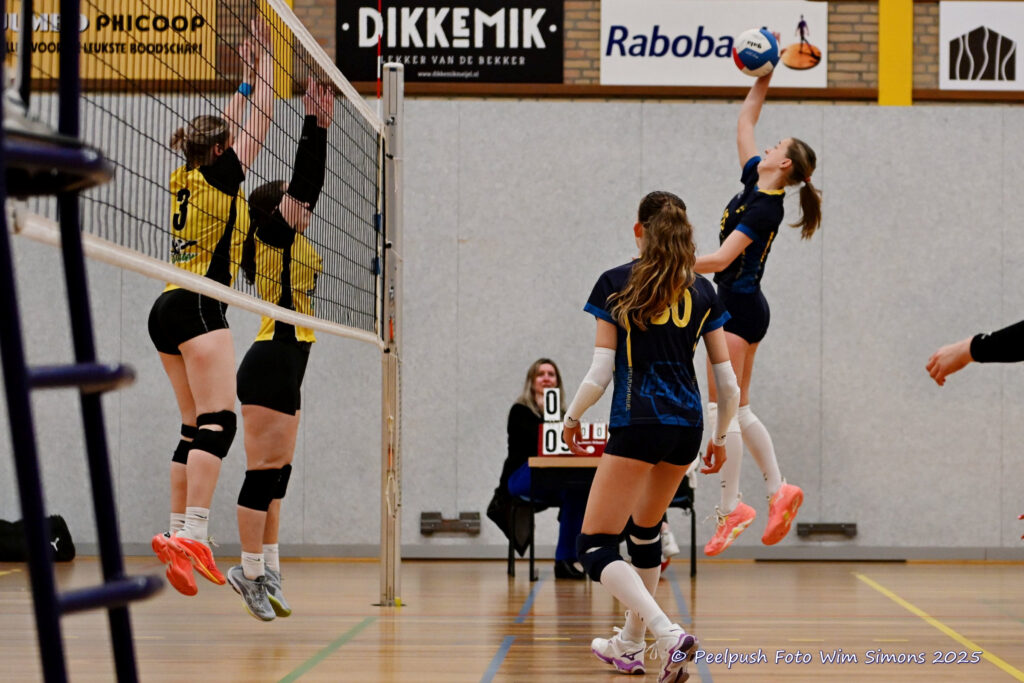 PPD4-Hovoc3 29-03-2025_055