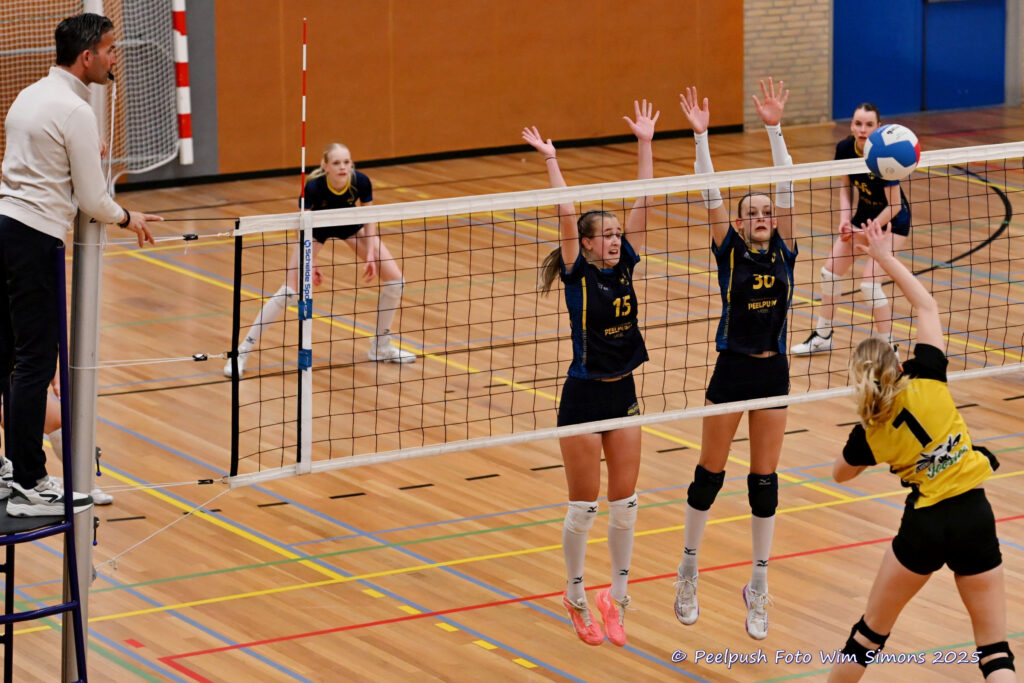 PPD4-Hovoc3 29-03-2025_060