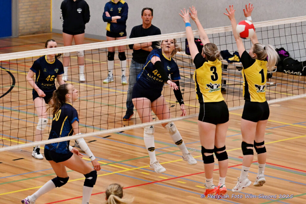 PPD4-Hovoc3 29-03-2025_061