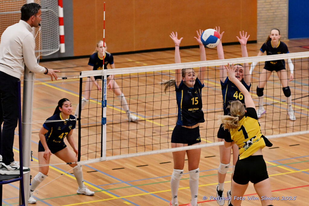 PPD4-Hovoc3 29-03-2025_062