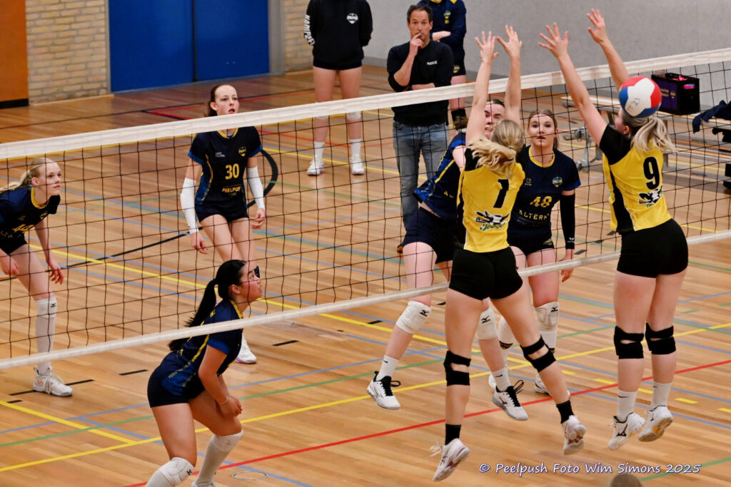 PPD4-Hovoc3 29-03-2025_063