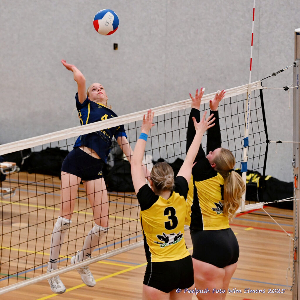 PPD4-Hovoc3 29-03-2025_064