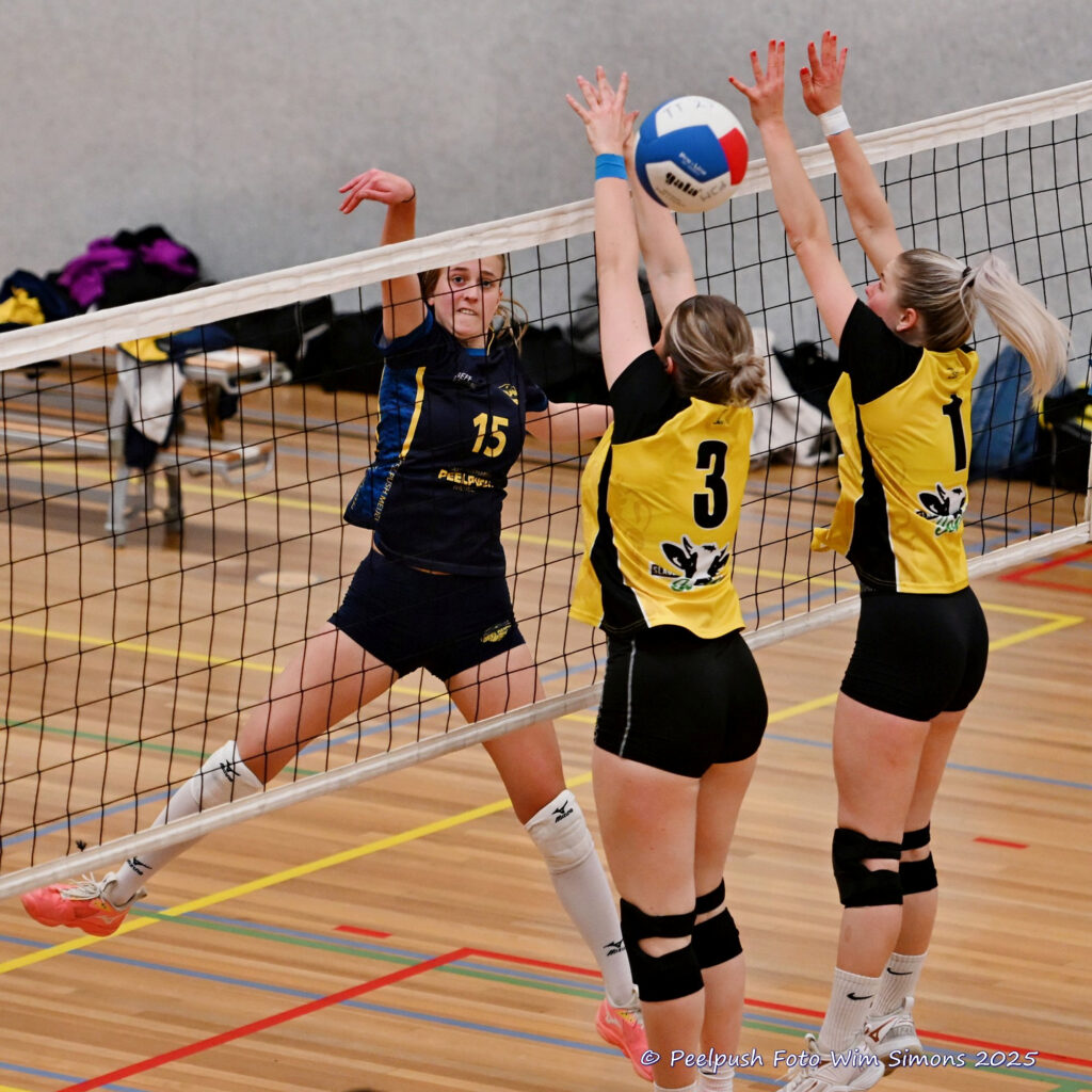 PPD4-Hovoc3 29-03-2025_065