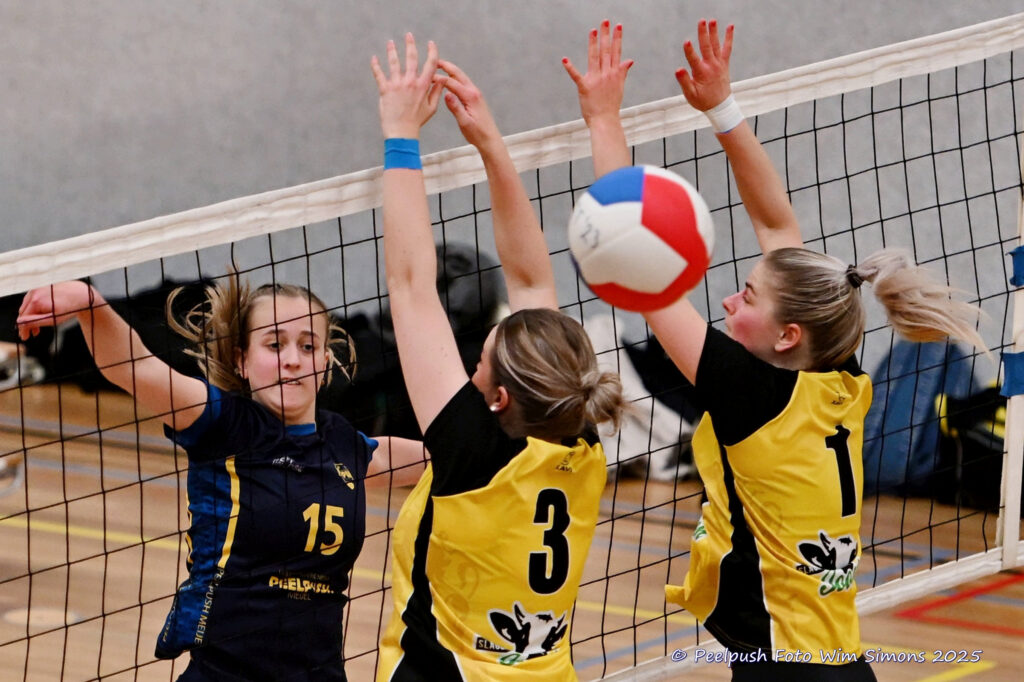 PPD4-Hovoc3 29-03-2025_066