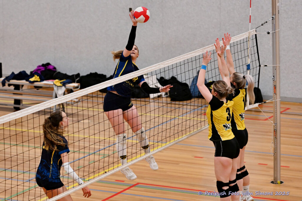 PPD4-Hovoc3 29-03-2025_067