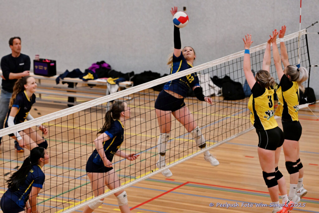 PPD4-Hovoc3 29-03-2025_072