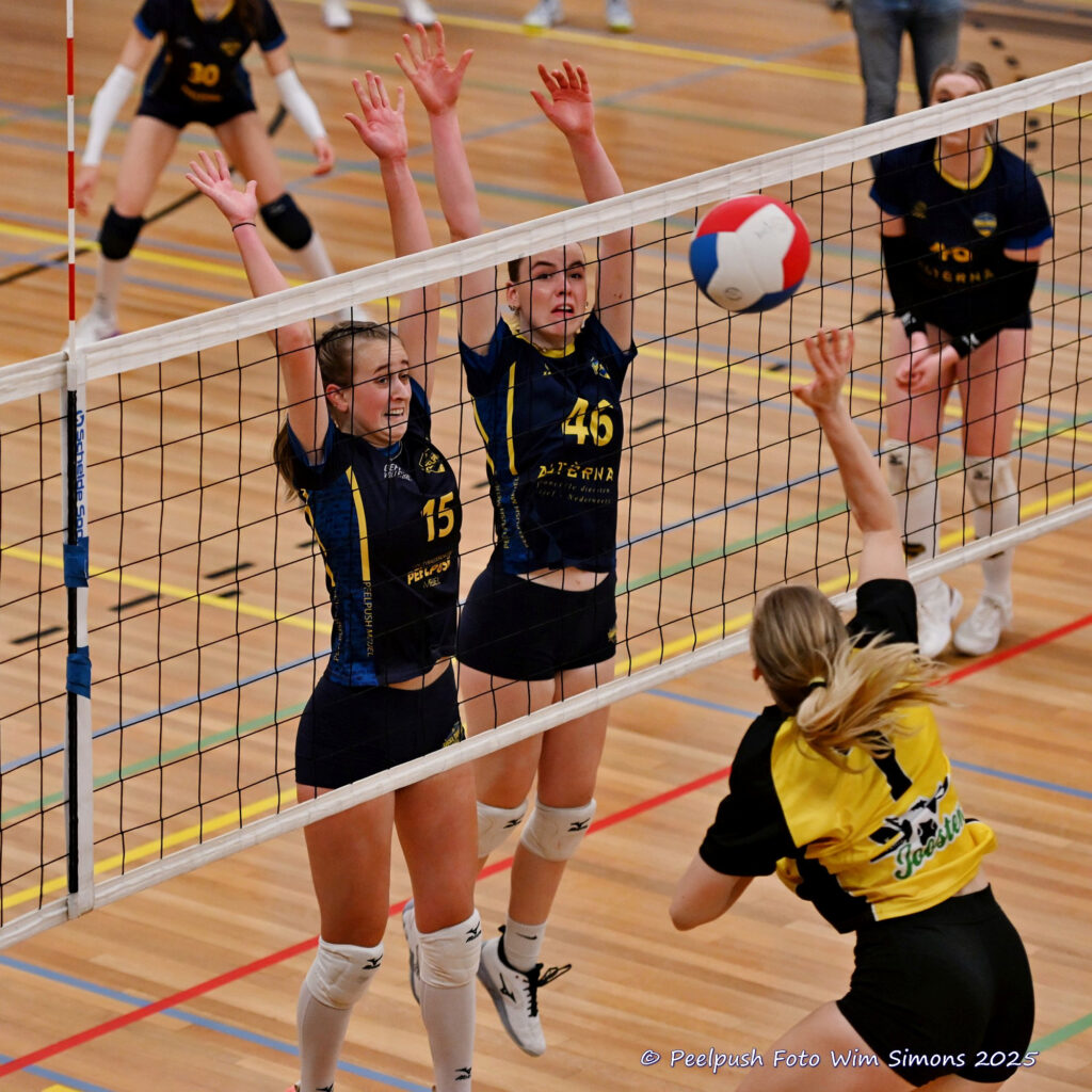 PPD4-Hovoc3 29-03-2025_073