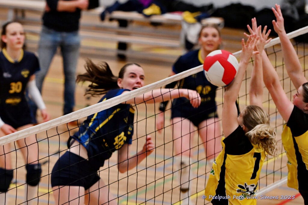 PPD4-Hovoc3 29-03-2025_077