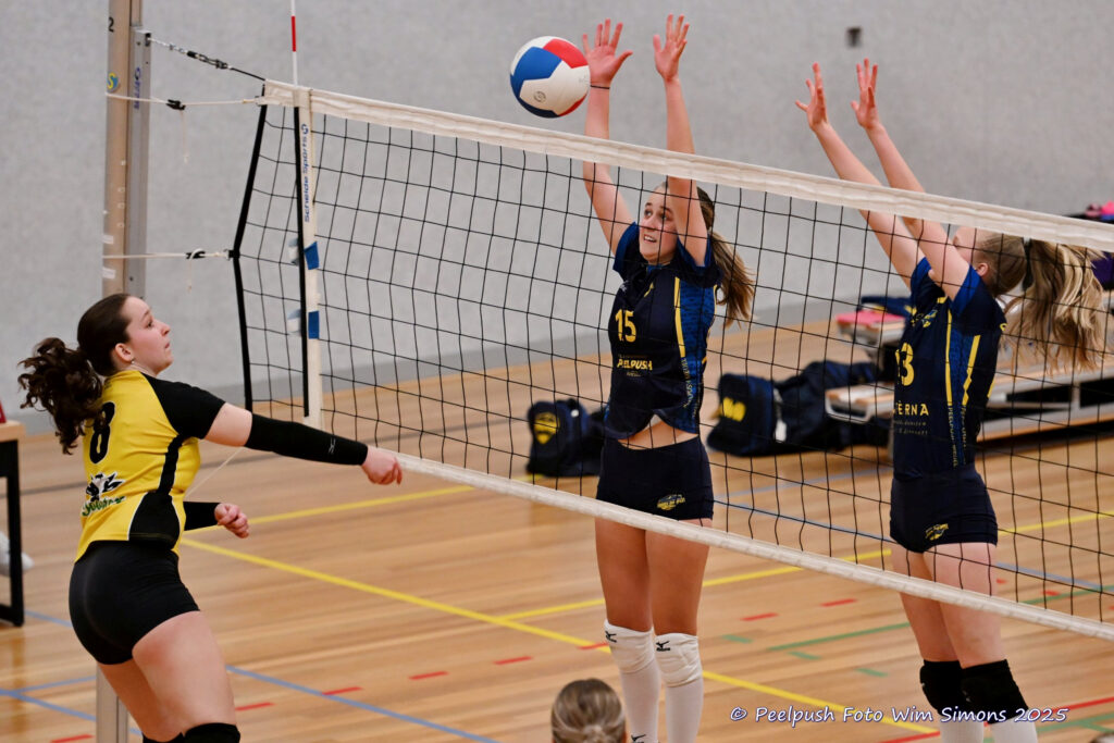 PPD4-Hovoc3 29-03-2025_094