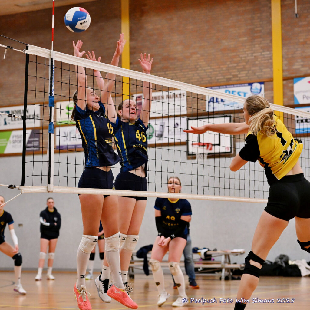 PPD4-Hovoc3 29-03-2025_100