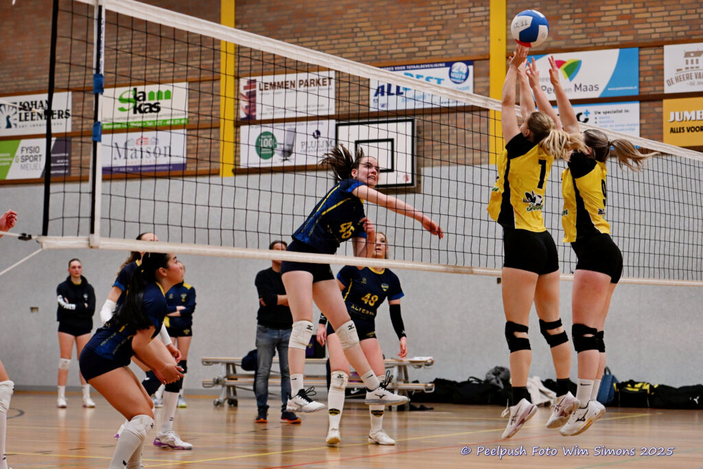 PPD4-Hovoc3 29-03-2025_103