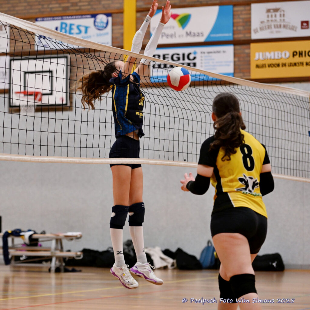 PPD4-Hovoc3 29-03-2025_104