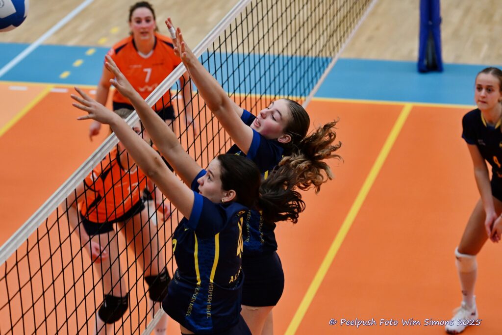 PPD4-Polaris D3 08-11-2025_004