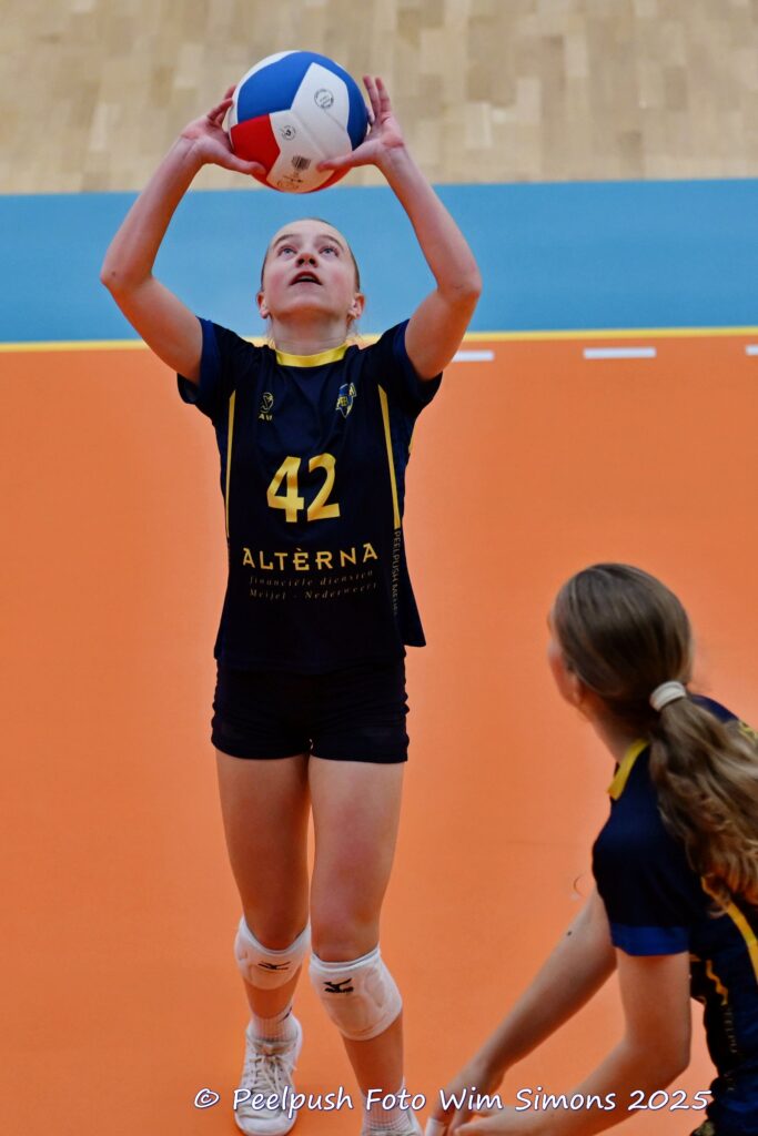 PPD4-Polaris D3 08-11-2025_005