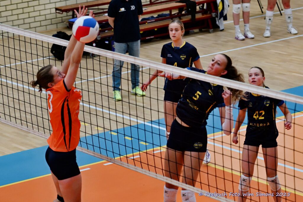 PPD4-Polaris D3 08-11-2025_010