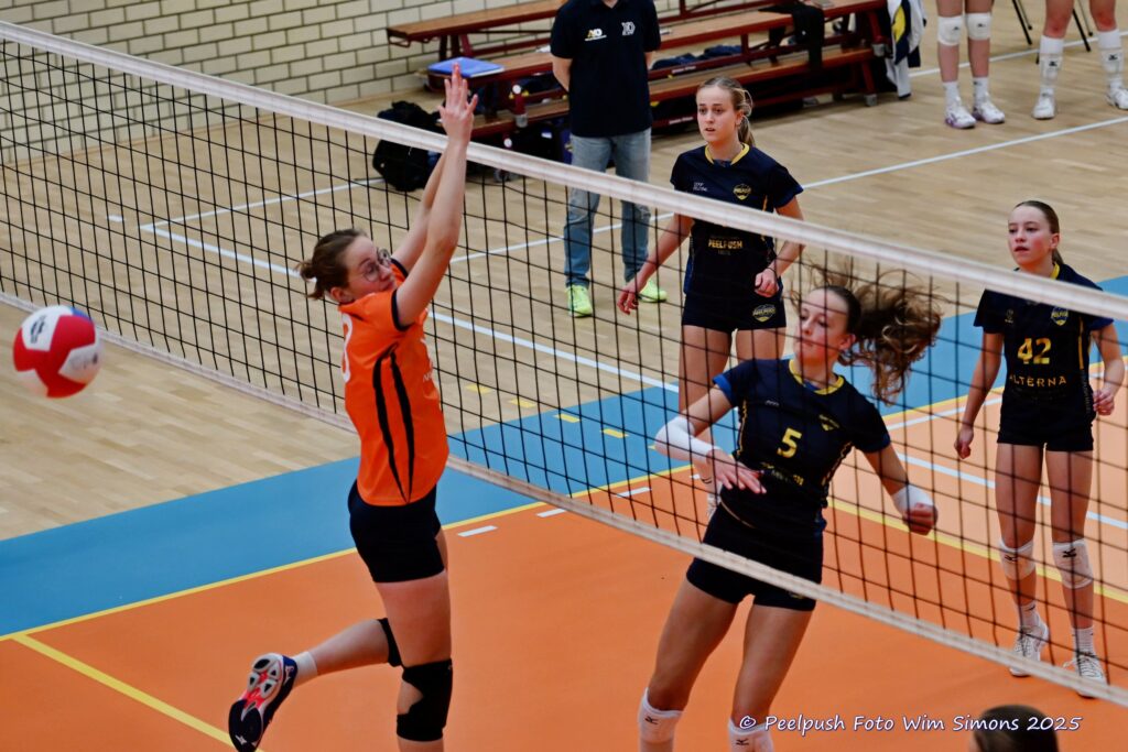 PPD4-Polaris D3 08-11-2025_011