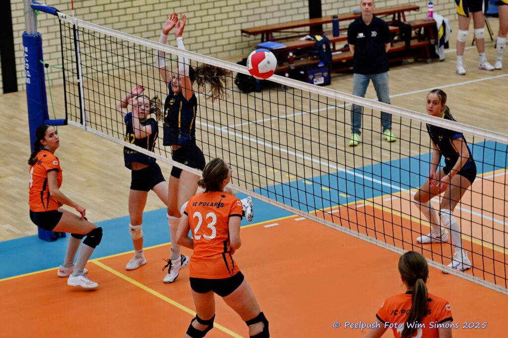 PPD4-Polaris D3 08-11-2025_012