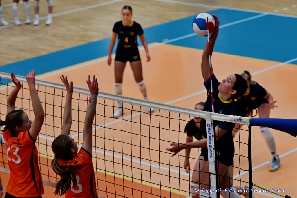 PPD4-Polaris D3 08-11-2025_015