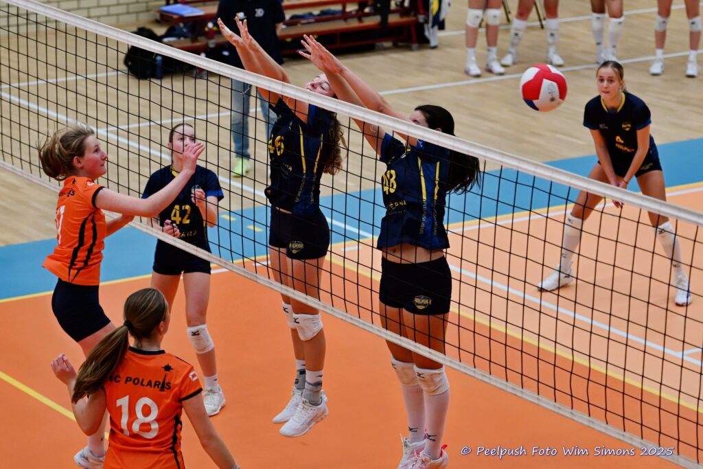 PPD4-Polaris D3 08-11-2025_017