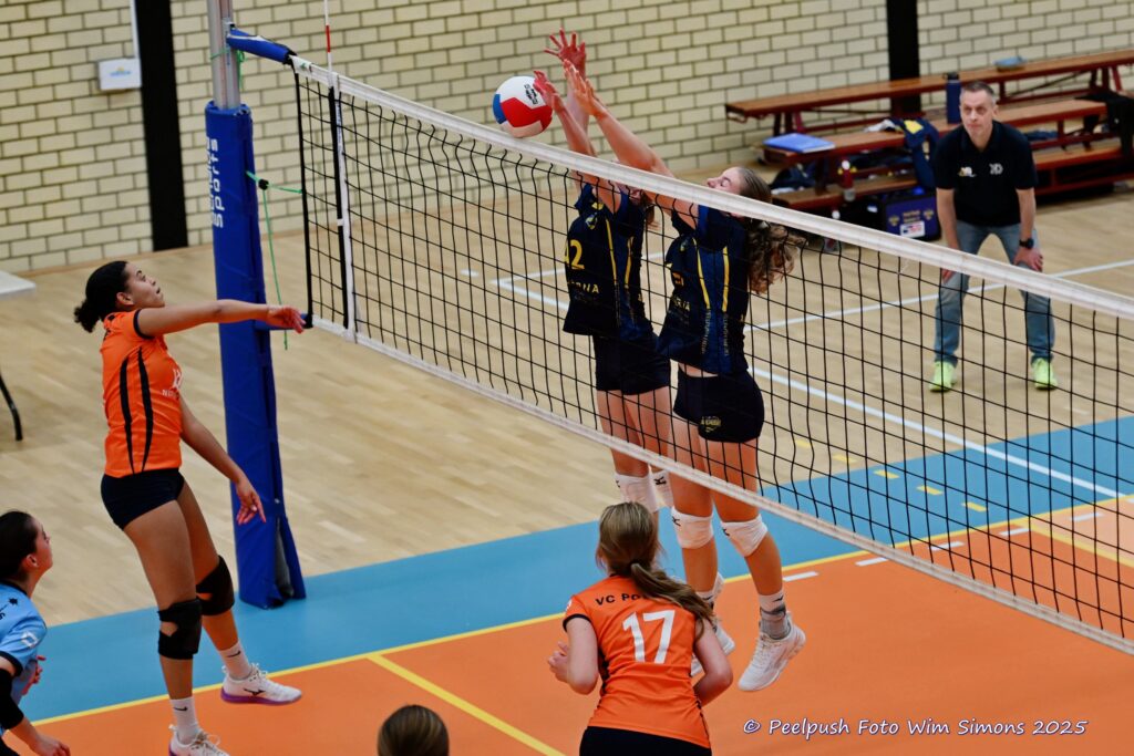 PPD4-Polaris D3 08-11-2025_018