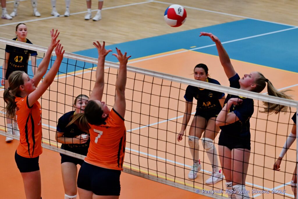 PPD4-Polaris D3 08-11-2025_021