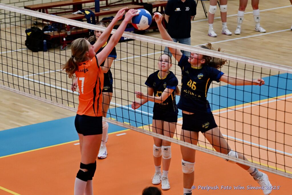 PPD4-Polaris D3 08-11-2025_022