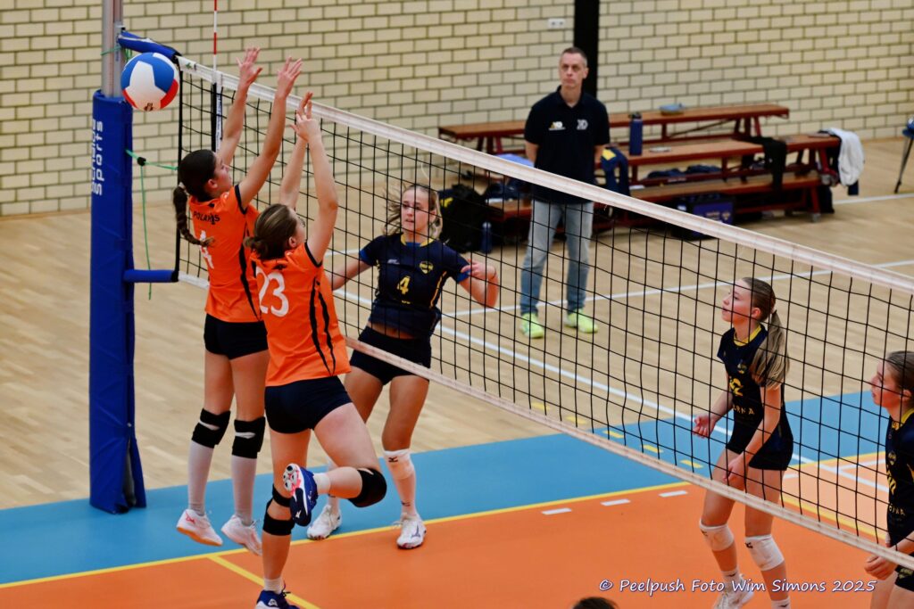 PPD4-Polaris D3 08-11-2025_023