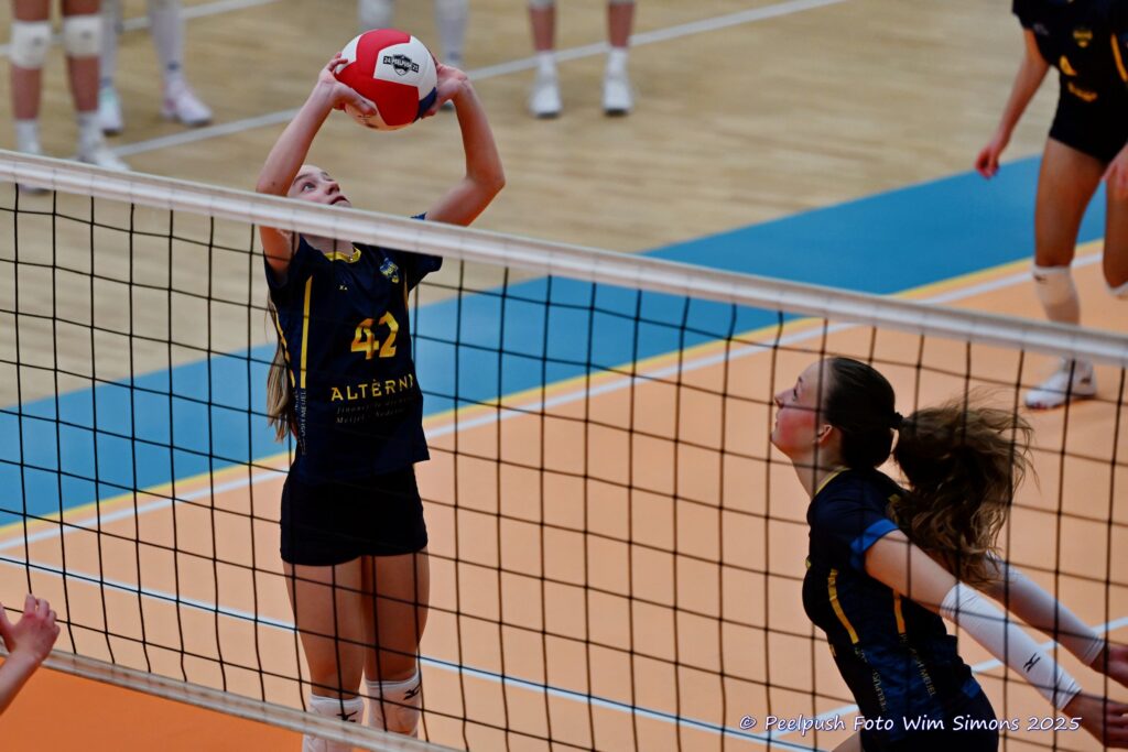 PPD4-Polaris D3 08-11-2025_028