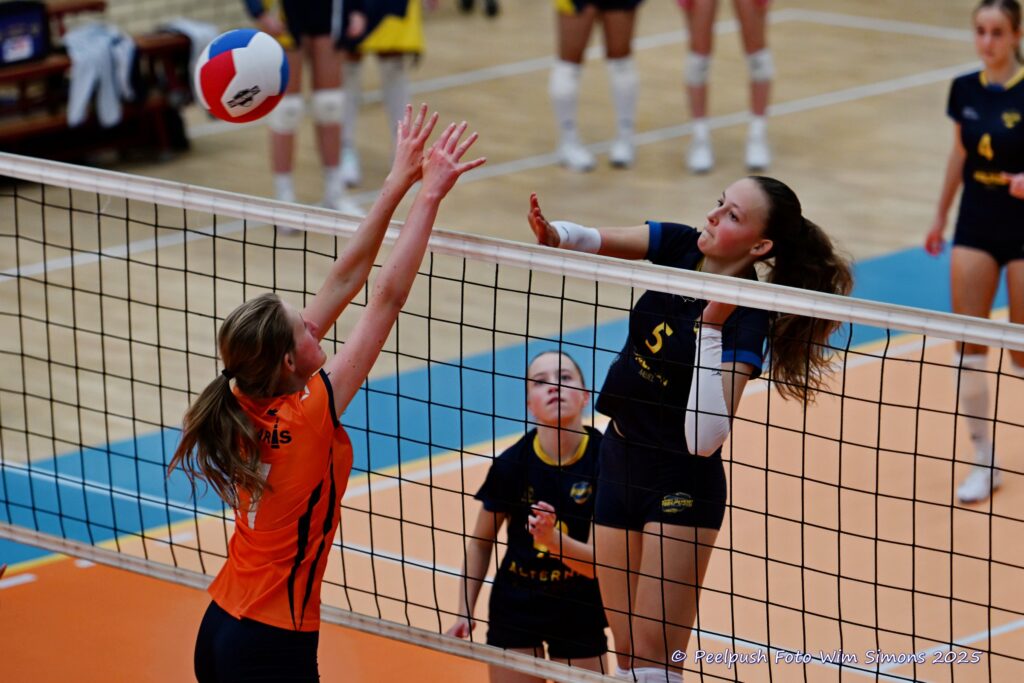 PPD4-Polaris D3 08-11-2025_030