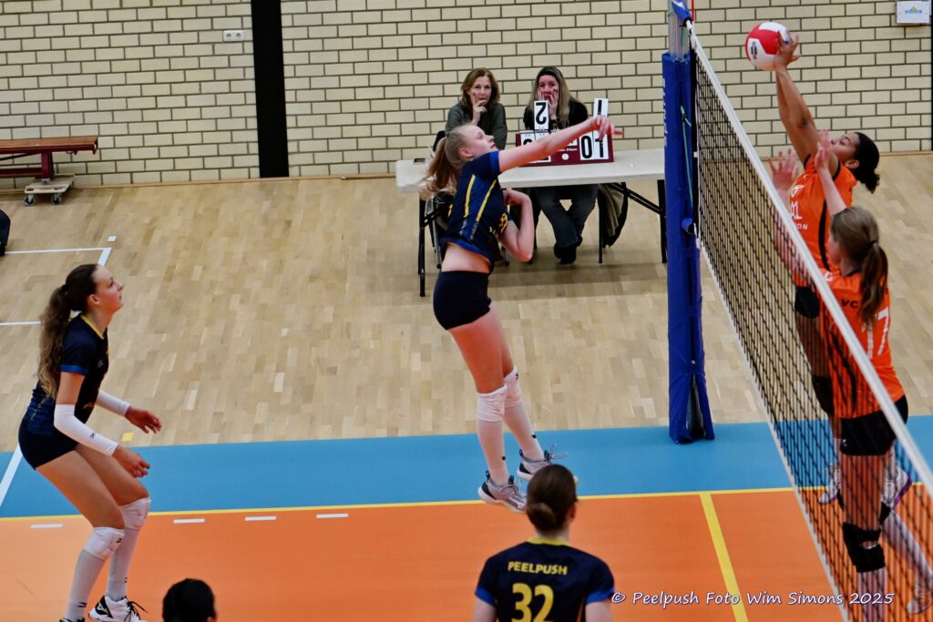 PPD4-Polaris D3 08-11-2025_041