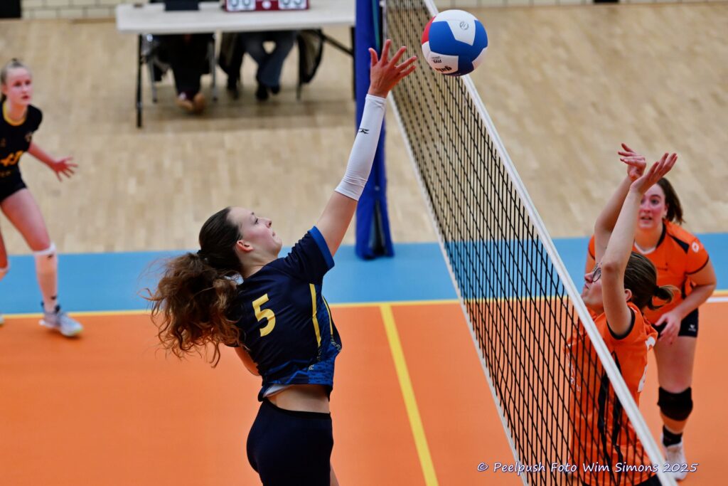 PPD4-Polaris D3 08-11-2025_052