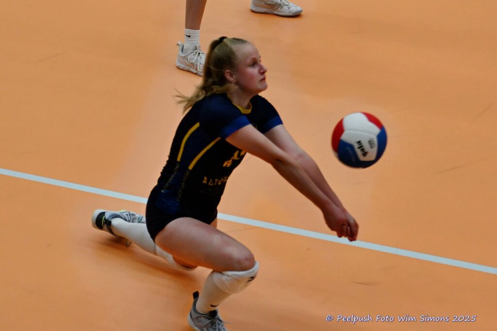 PPD4-Polaris D3 08-11-2025_058