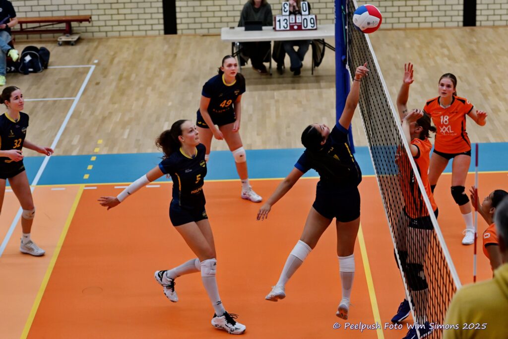 PPD4-Polaris D3 08-11-2025_061