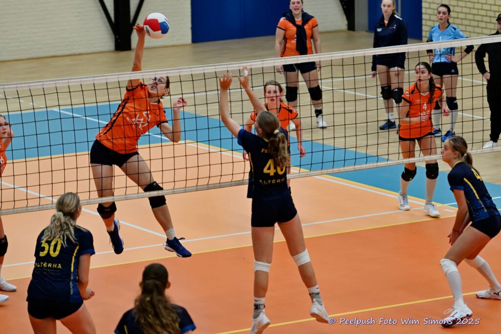 PPD4-Polaris D3 08-11-2025_078