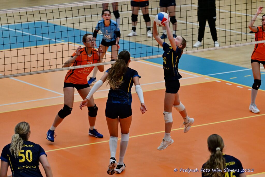 PPD4-Polaris D3 08-11-2025_080