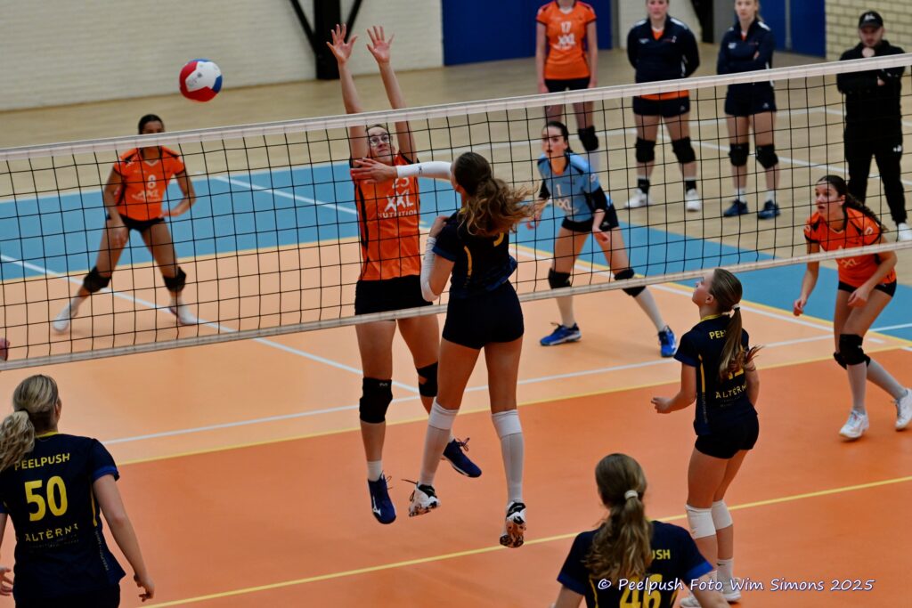 PPD4-Polaris D3 08-11-2025_081