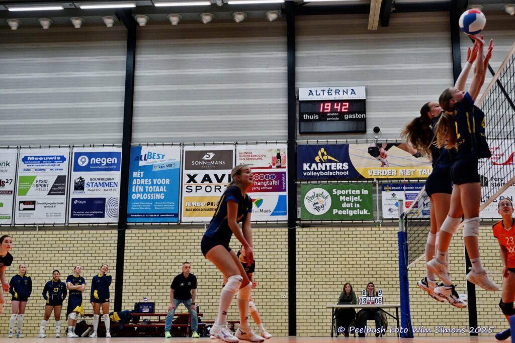 PPD4-Polaris D3 08-11-2025_091