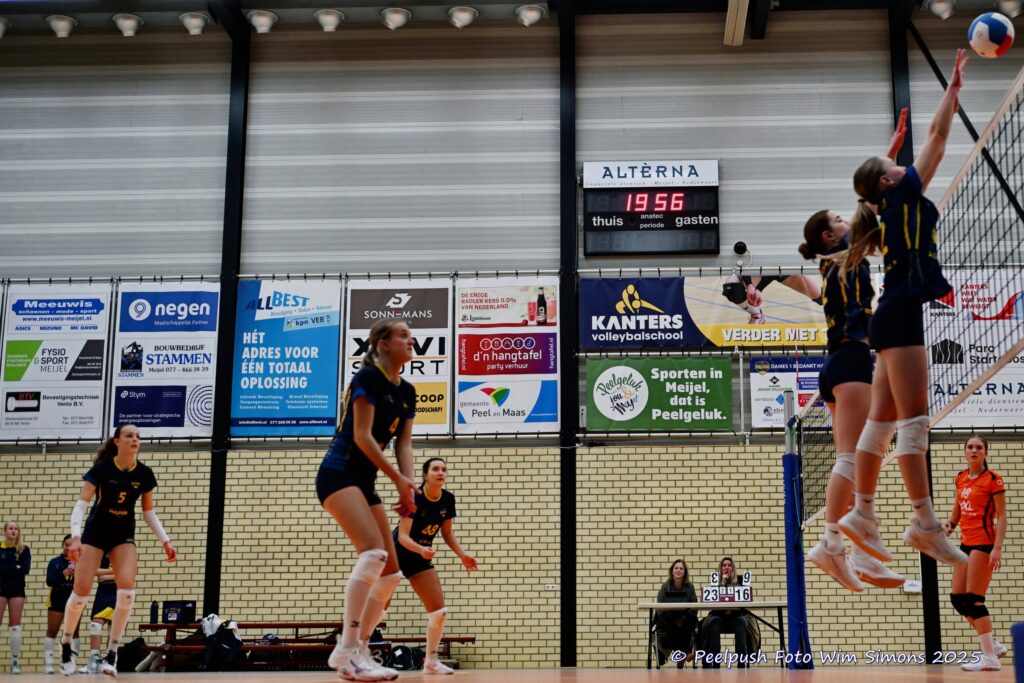 PPD4-Polaris D3 08-11-2025_093