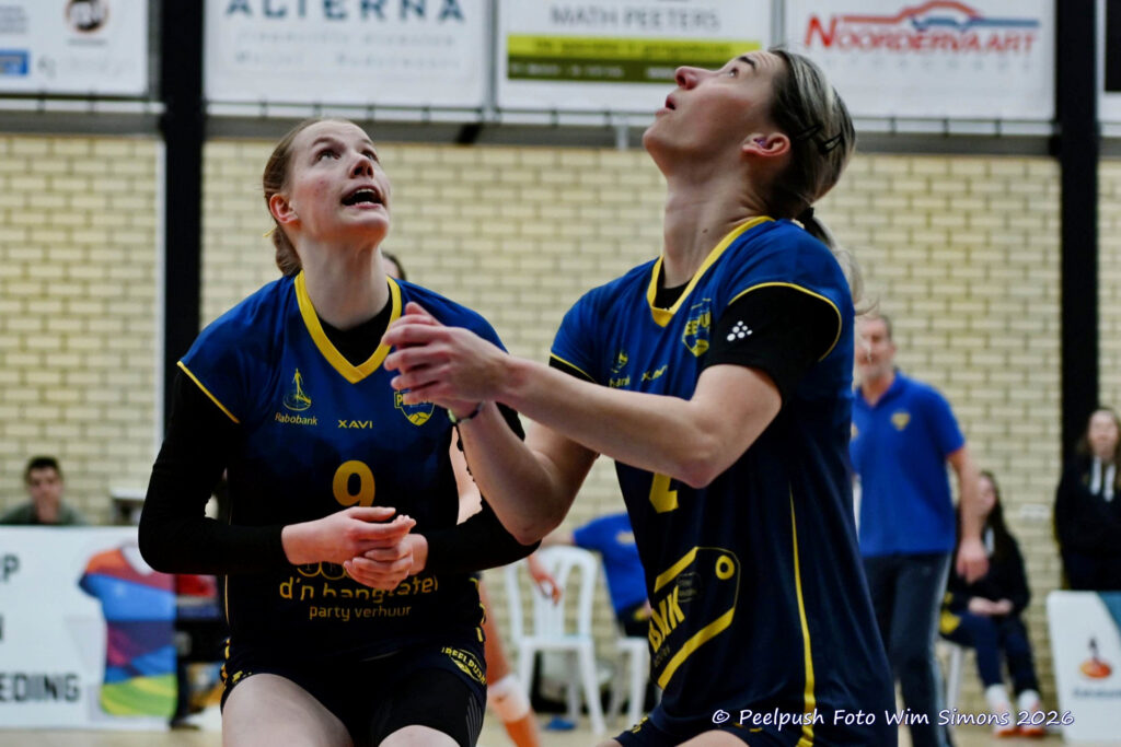 PPD1-ActiviaD1 11-01-2026_013