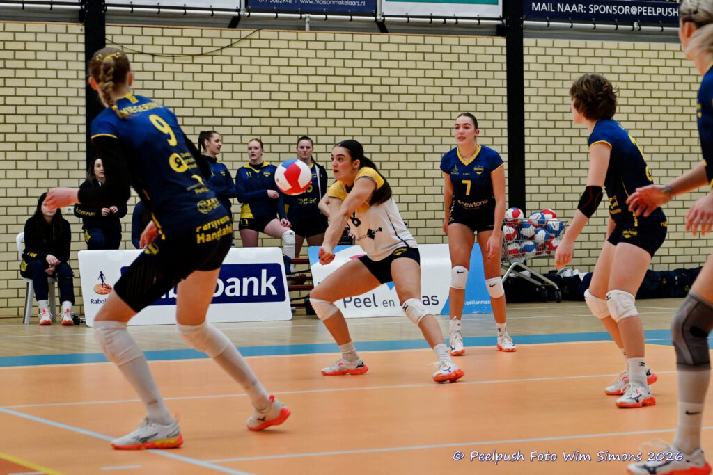 PPD1-ActiviaD1 11-01-2026_015