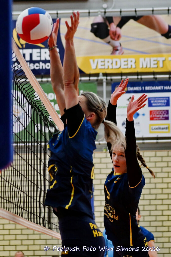 PPD1-ActiviaD1 11-01-2026_021