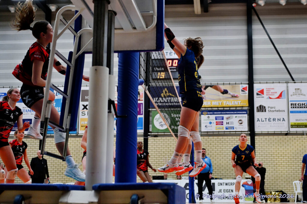 PPD1-ActiviaD1 11-01-2026_025