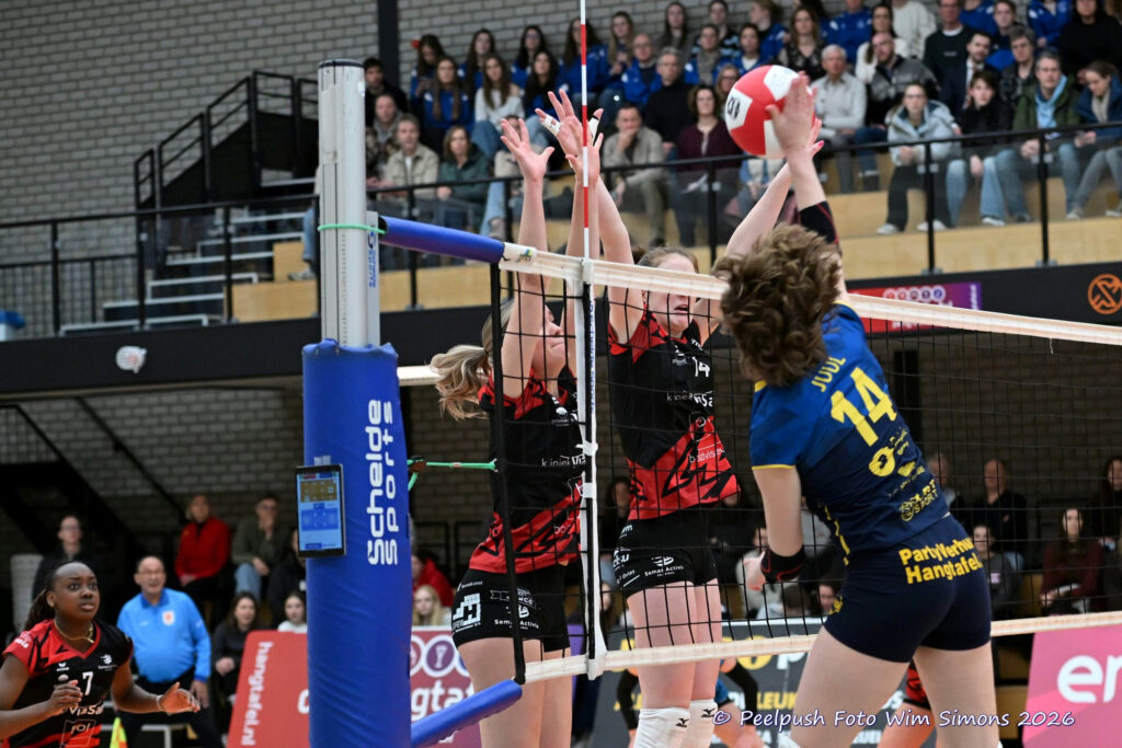 PPD1-ActiviaD1 11-01-2026_030