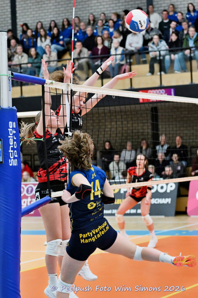 PPD1-ActiviaD1 11-01-2026_032