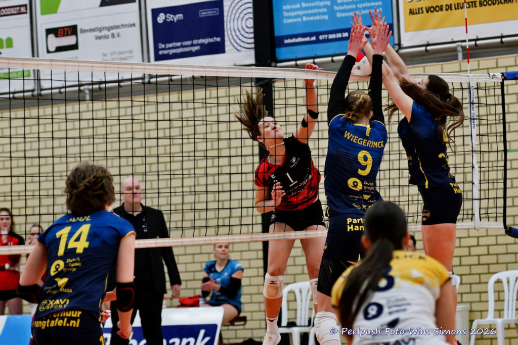 PPD1-ActiviaD1 11-01-2026_052