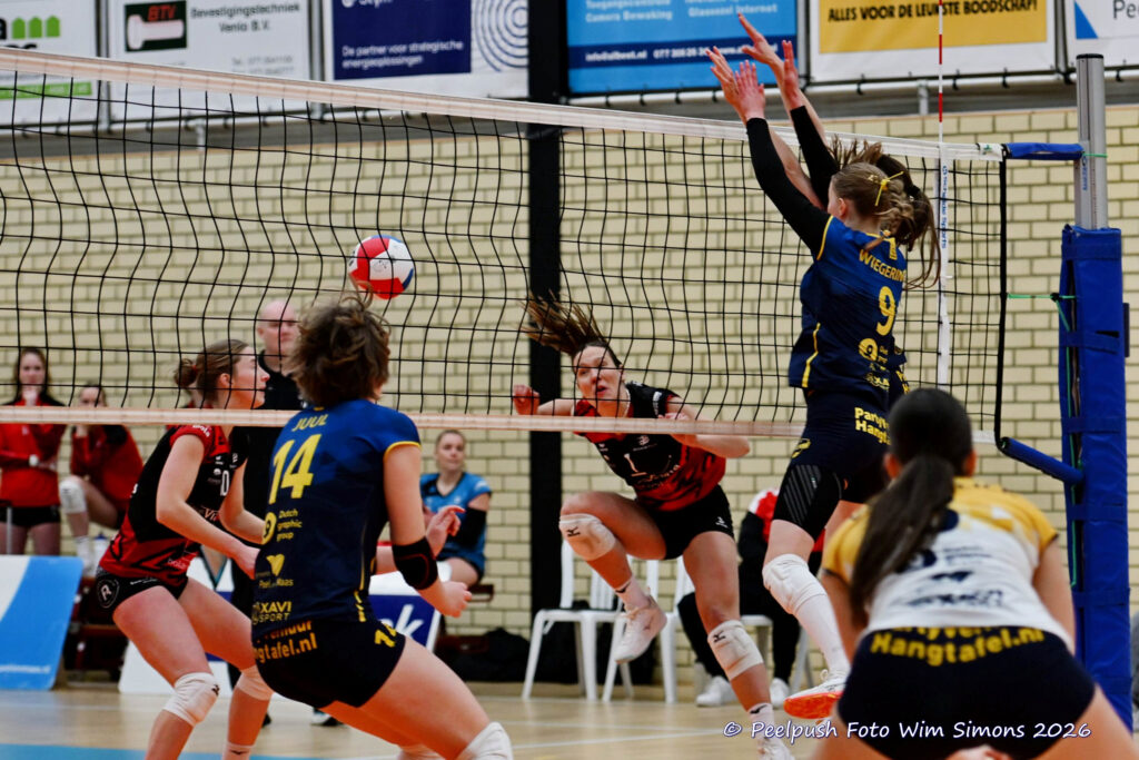 PPD1-ActiviaD1 11-01-2026_053