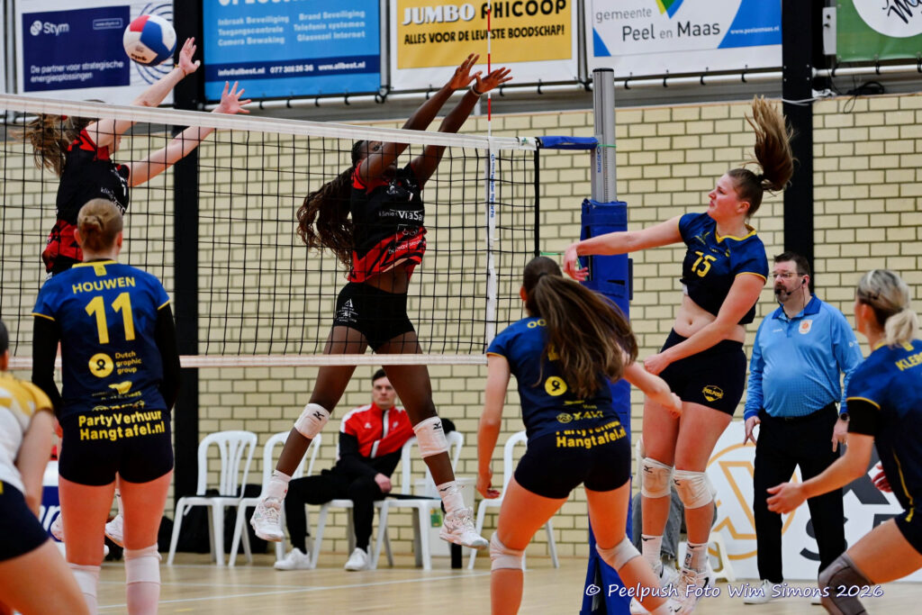 PPD1-ActiviaD1 11-01-2026_055