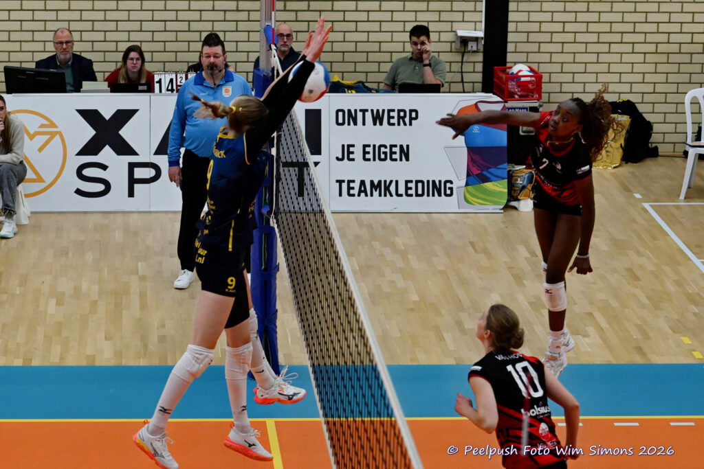 PPD1-ActiviaD1 11-01-2026_069