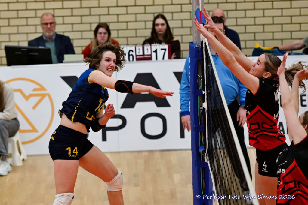 PPD1-ActiviaD1 11-01-2026_073