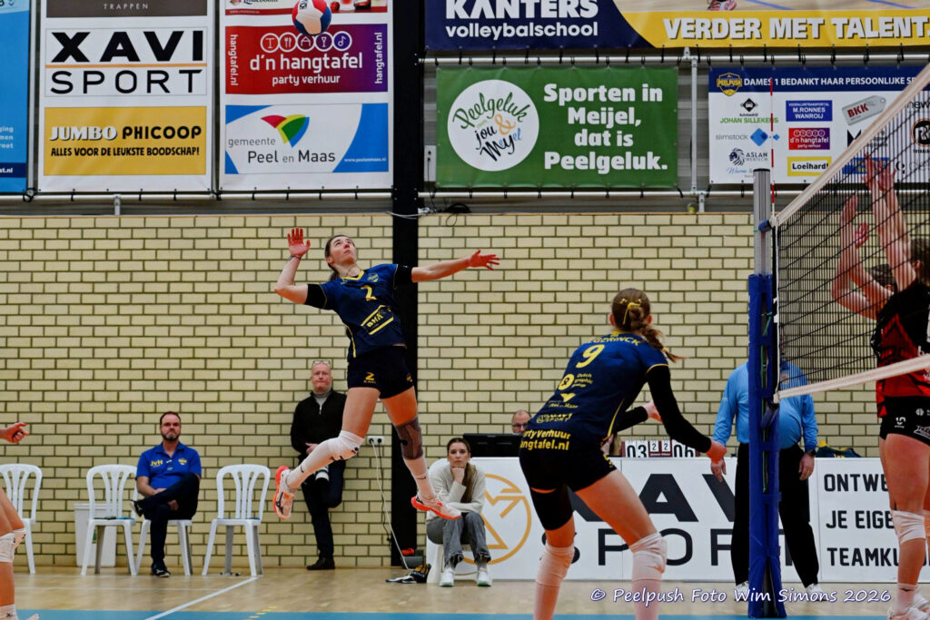 PPD1-ActiviaD1 11-01-2026_084